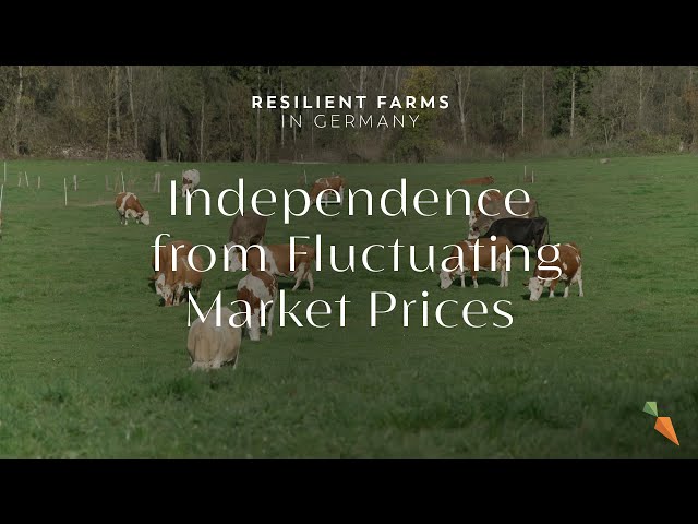 A Self-Sufficient Hay Milk Farm | Resilient Farms in Germany