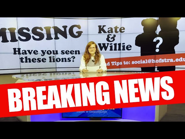 BREAKING NEWS: Kate and Willie are Missing! | Hofstra University