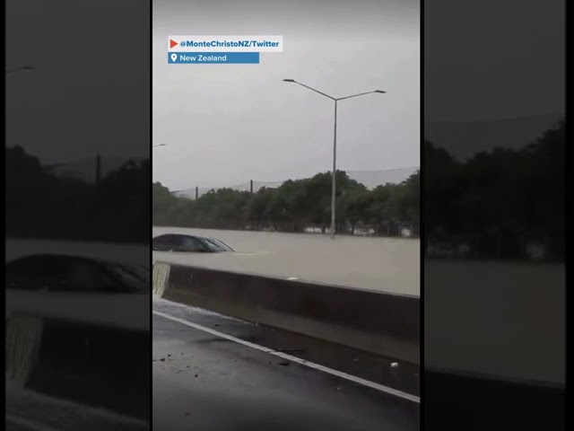 Crazy flash flooding in New Zealend