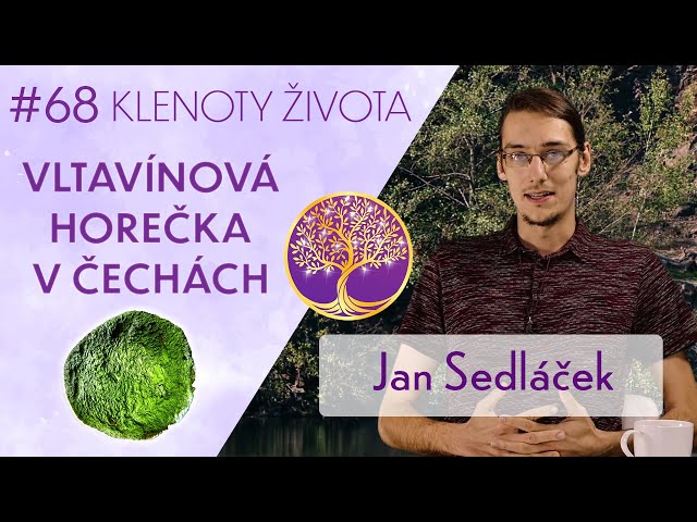 Jan Sedláček: Vltavíny - naše opomenuté národní bohatství | Klenoty života