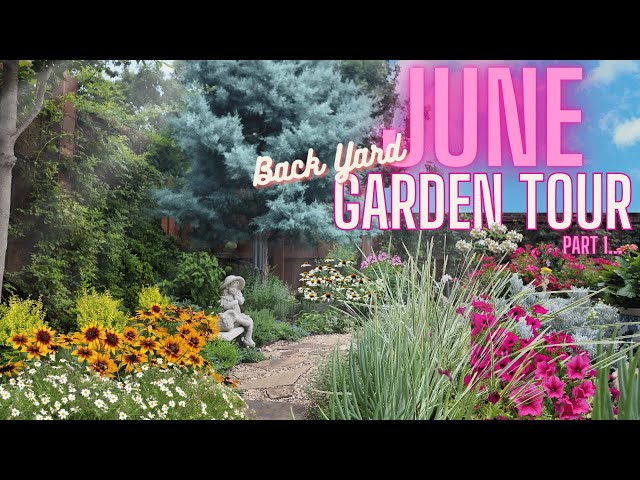 Texas Garden Tour June '24! BackYard Texas Flower Garden #gardentour #northtexasgardening