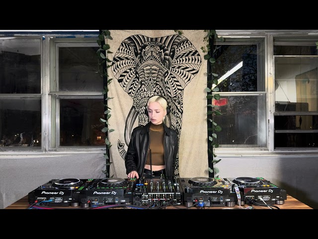 Elephant Session Mix #48 Nastya Nvrslp