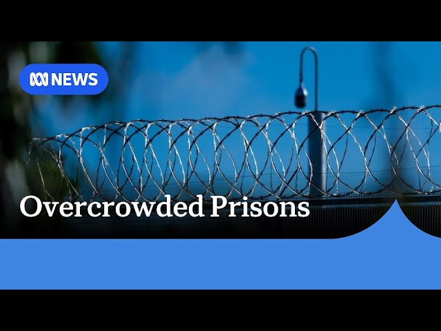 NT government to enact emergency plan to cope with record prisoner numbers | ABC NEWS