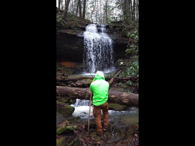 Raising Cane Falls Near London, Kentucky #shorts