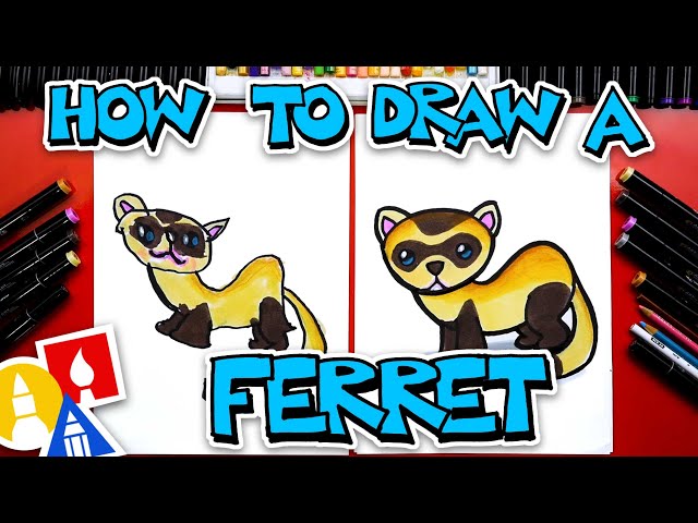 How To Draw A Ferret