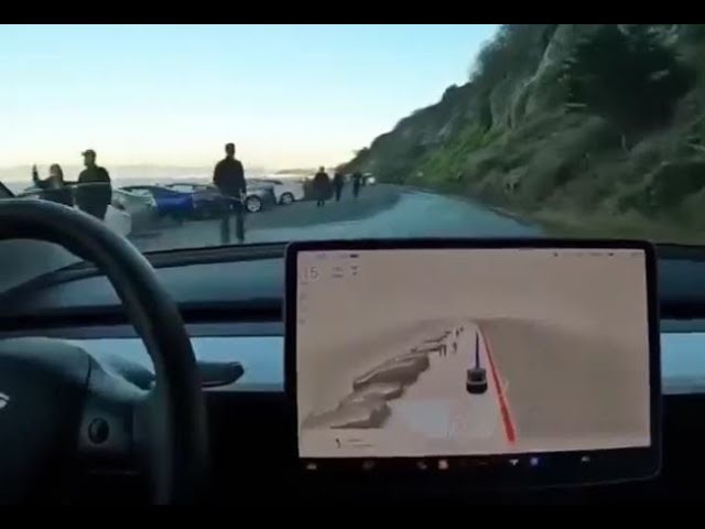 This is how Tesla Autopilot sees on the Road! É assim que o Tesla Autopilot vê a estrada!