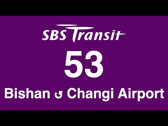 [HDR] SBS Transit Trunk 53 Hyperlapse