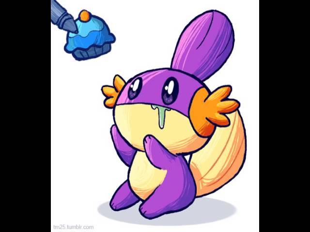 Cute Mudkip Video with audio!!!!!