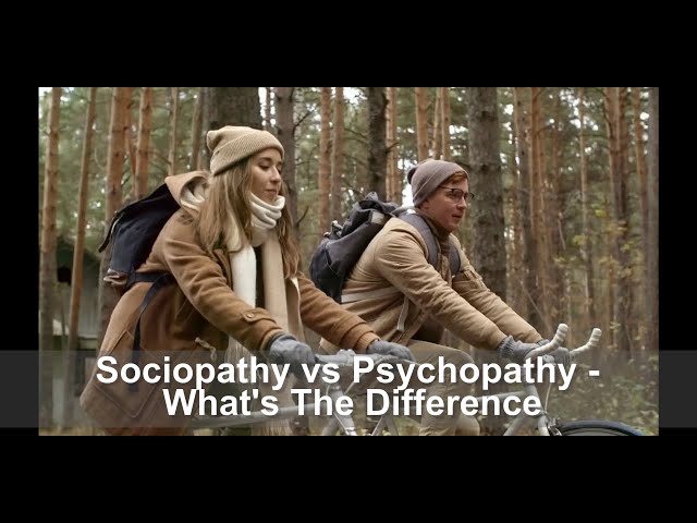 Sociopathy vs Psychopathy - What's The Difference? / The Effects of Pornography on Your Brain