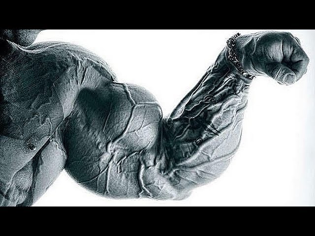 Gym Motivation - ARM DAY With Lee Priest - BEST ARMS IN THE WORLD EVER