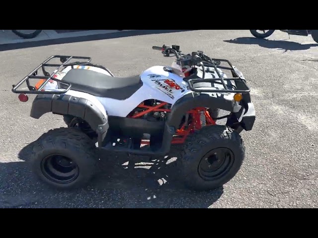 Kayo Bull 150 -- Florida Motorsports -- 850.575.0305