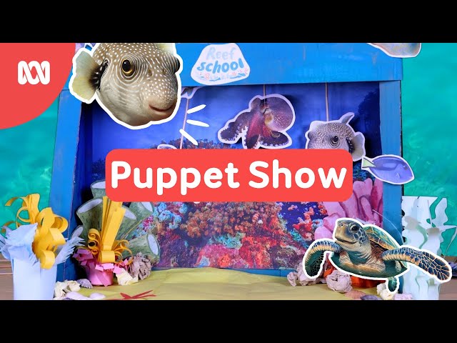 Is THIS the FASTEST Reef School swimmer in the sea? | Puppet Show 🐟🐟🐟