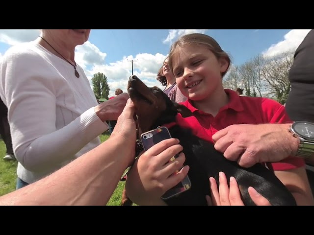 Appledown Dog Rescue Open Day Daisy the tiny Dog VR 180