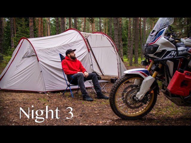 Solo Camping in a Rain | Nature ASMR |  Pine forest