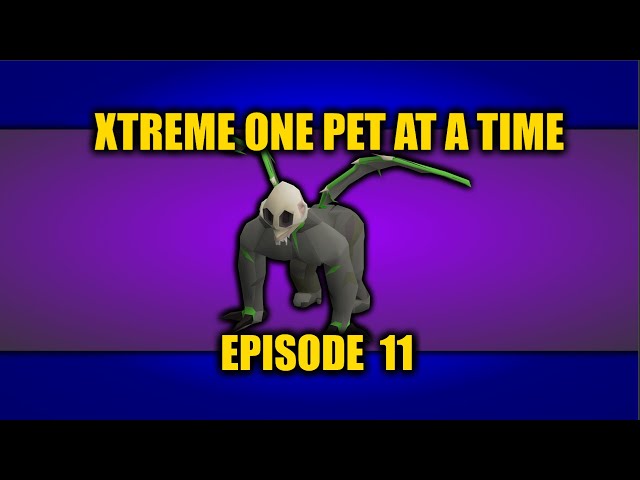 Xtreme One Pet At A Time #11 - Betrayal & Beaver