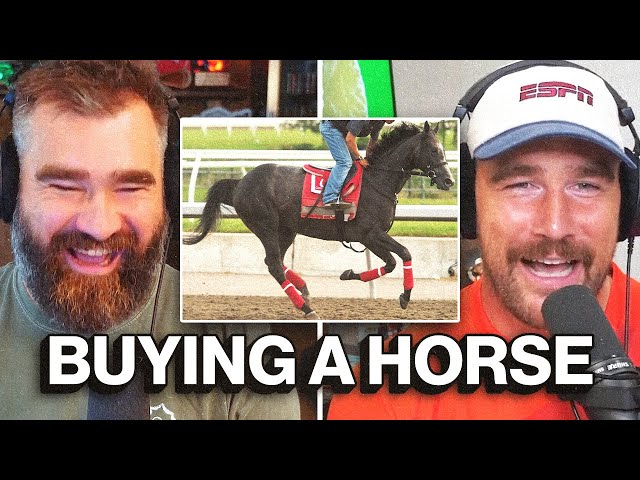 "Did the name prompt interest?" - Jason asks Travis about new racehorse 'Swift Delivery'