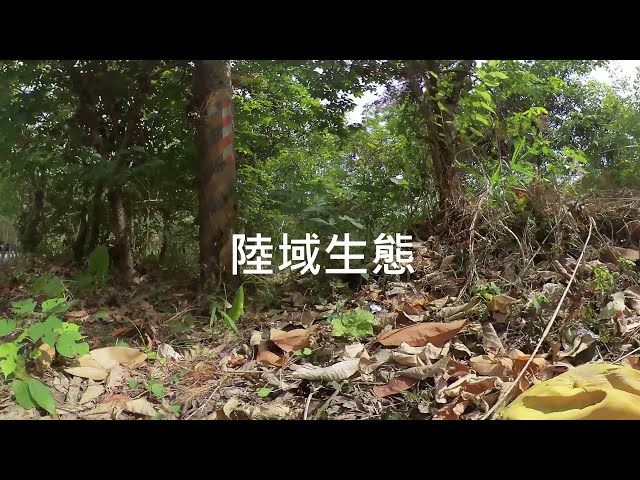 第十組_360影片_SDGs 15 陸域生態