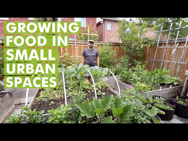 Growing Food in Urban Small Spaces - Urban Gardening