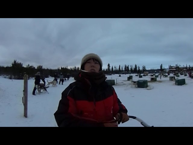 犬ぞり体験　カナダ　 ホワイトホースの ユーコン川　氷結　犬ぞり　VR 360