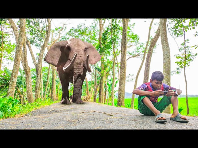 Elephant Attack On Village Boy In Forest | Free Fire Game Playing Time | Fun Made Movie Part 24