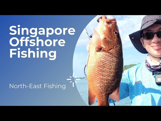 Singapore Offshore Fishing - Jeffrey's Boat