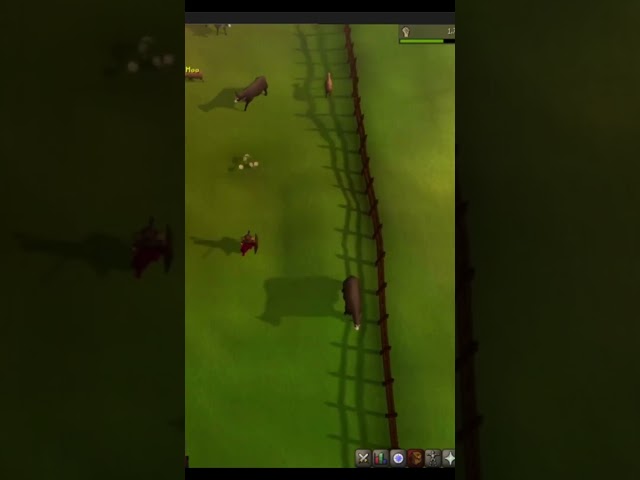 OSRS part 5 short