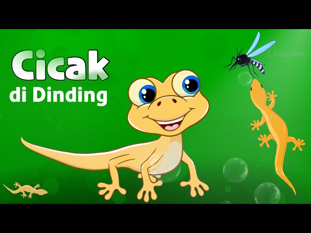 CICAK Cicak di Dinding | Lagu anak anak, Cicak cicak didinding, lagu anak indonesia