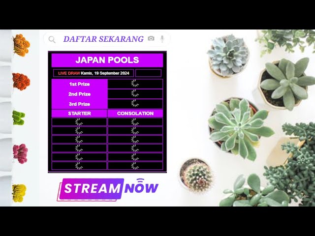 LIVE DRAW JAPAN | LIVE JAPAN | 象山看台北 - 4K即時影像 | 象山から望む台北 | LIVE JPN