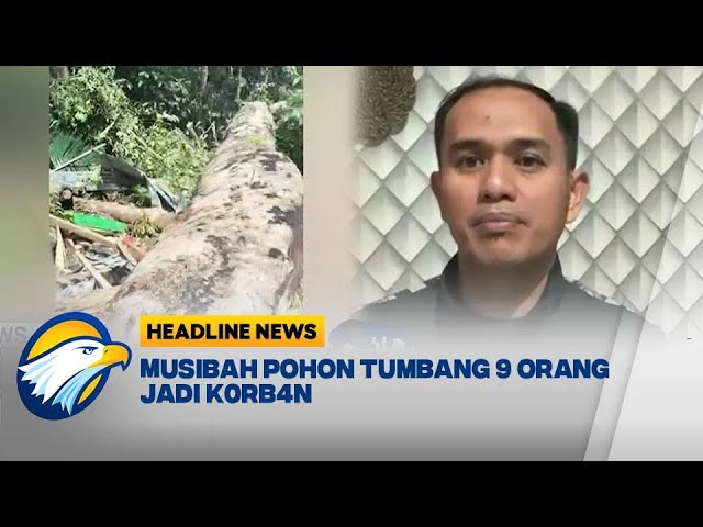 [HEADLINE NEWS 04/11] Kronologis Pohon Tumbang di Soppeng, Sulsel