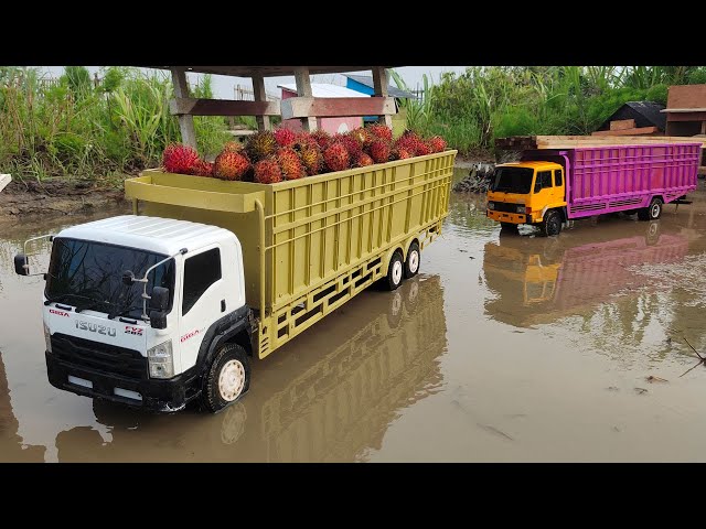 Mobil Truk Oleng Tronton Fuso 220Ps, Dump Truck Hino 500, Isuzu Giga Oleng Muatan Berat