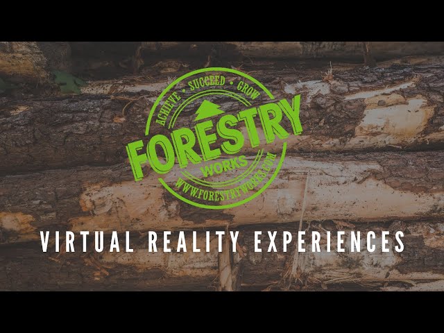 Timber Harvesting VR Experience | Loader