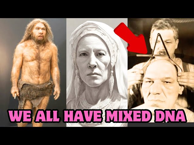 Shocking Study Reveals All Modern Humans Have Mixed DNA | Neanderthal, Denisovan, Unknown