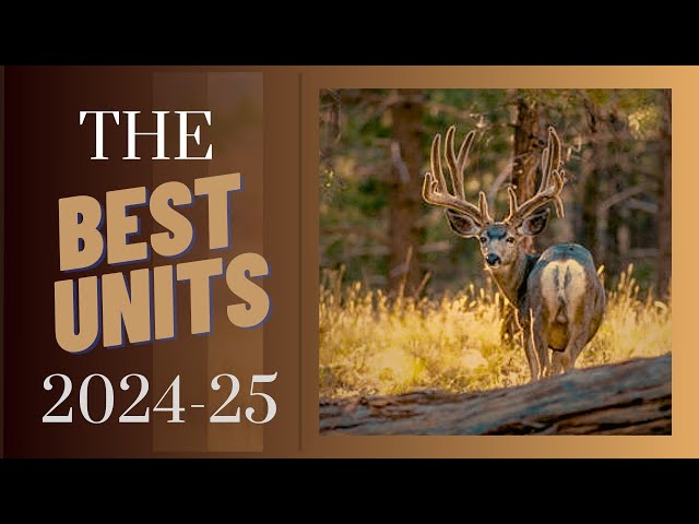 DEER Hunters: BEST UNITS Arizona