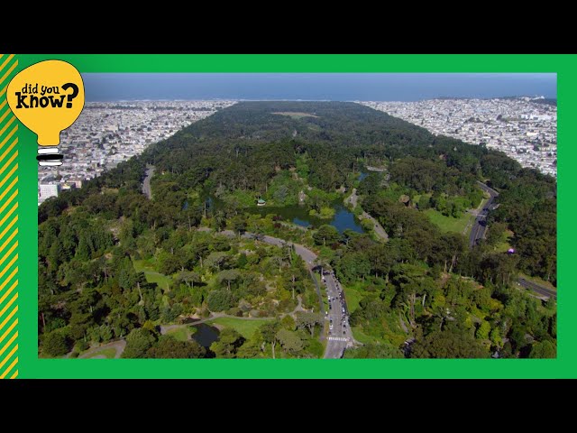 Did You Know? San Francisco’s Golden Gate Park was built more than 150 years ago