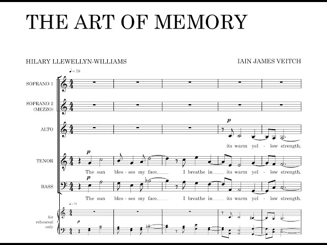 IAIN JAMES VEITCH   The Art Of Memory