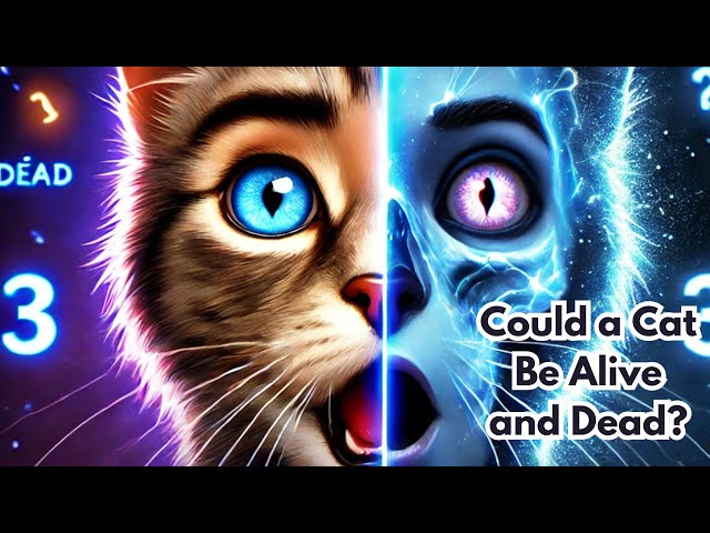 Could a Cat Be Alive and Dead? The Quantum Paradox Revealed!