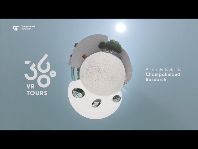 360º VR Tours | An inside look into Champalimaud Research