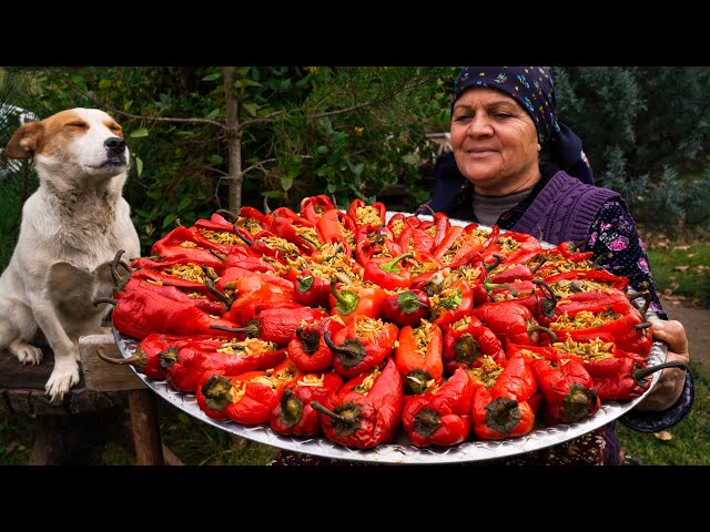 From Garden to Plate | Traditional Stuffed Bell Peppers