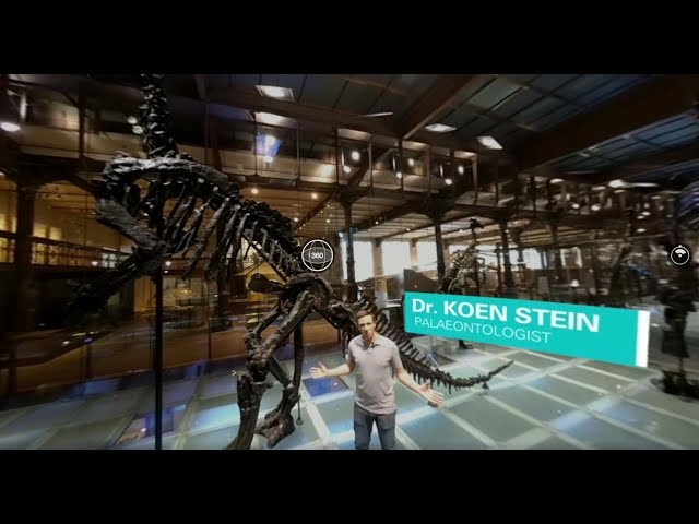 Inside the cage of the Iguanodons - episode 1: Size Matters (360 Video)