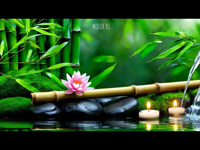 Sleep Hypnosis in 10 Minutes to Fall Asleep Quickly with Relaxing Bamboo Music at Night