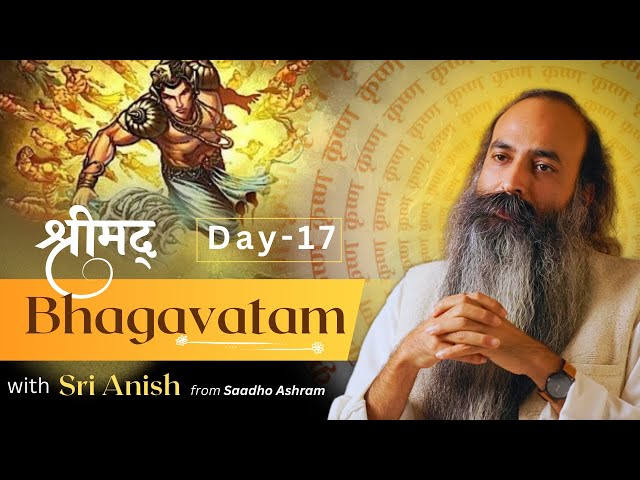 Day 17 | Satsangs on Srimad Bhagavatam with Sri Anish