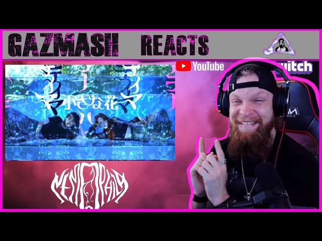 GazMASH Reacts  - NEMOPHILA HYPNOSIS REACTION