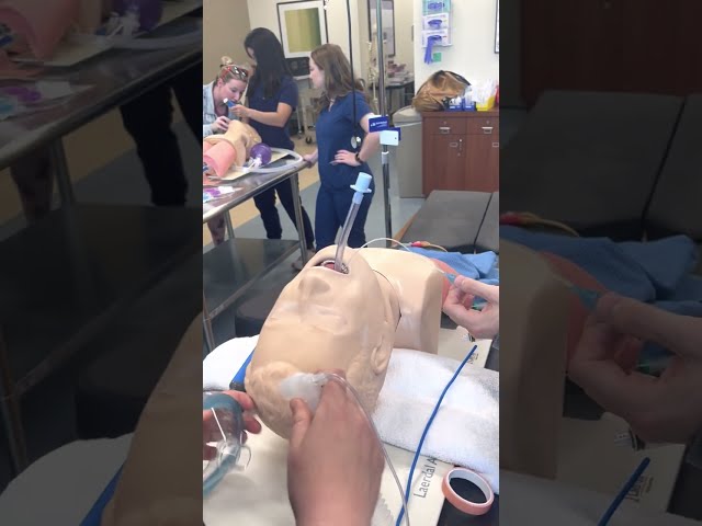 Anesthesia Sim: Intubation Demo w/Closeup