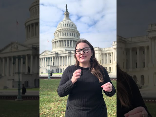 Election Day update from the U.S. Capitol in Washington, D.C.