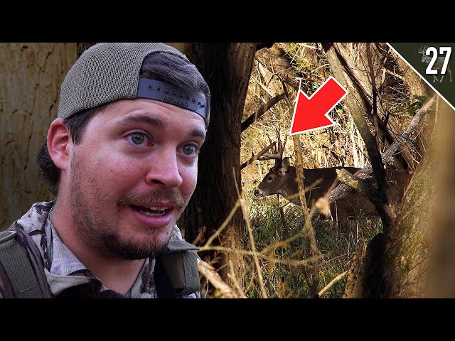 Big Bucks and Other Hunters!!! - (Bowhunting the RUT on Public Land)