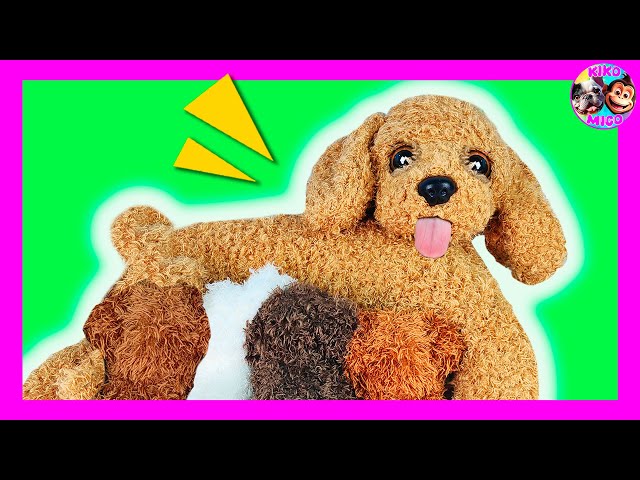 🐶 PERRITA EMBARAZADA 🤰 TIENE 4 CACHORROS  🎀 🌈