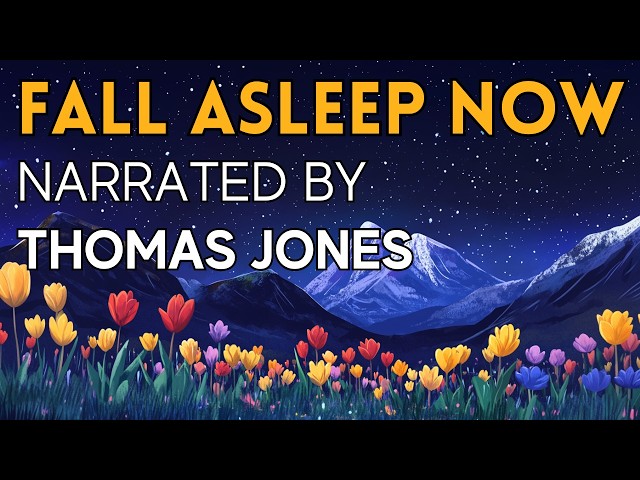 A Very COZY Story 🌷 A Sleepy Journey to Welsh South America - FALL ASLEEP FAST