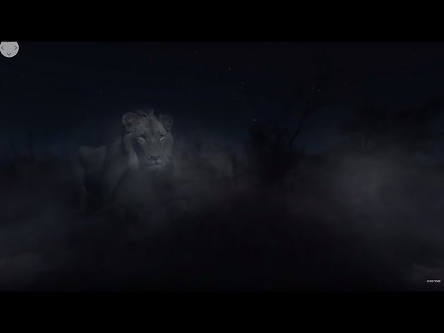 Night Predators of Africa! | 360° | BBC Earth Explore