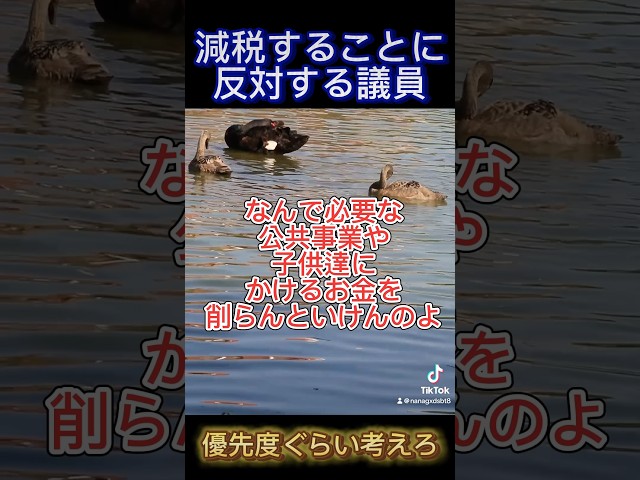 【優先順位ぐらい分からんのか？】減税案に反対する無能議員#生活保護 #不正受給 #石破内閣 #石破茂#財務省#財務省解体#減税#減税案#減税に反対#公共事業#学校教育#無能議員 #衆議院選挙