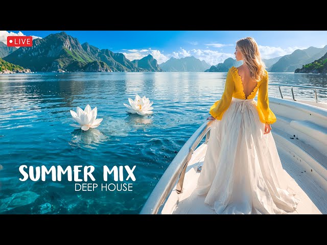 Deep Mood Radio • 24/7 Live Radio | Best Relax House, Chillout, Study, Running, Gym, Happy Music